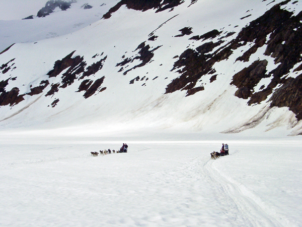 dog sledding